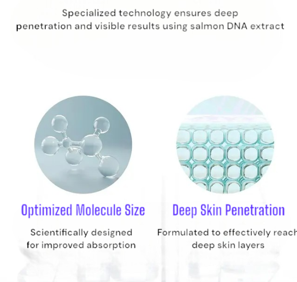 🔥Last Day Promotion Turnover Ampoule – DNA-Based Anti-Aging Serum for Firm, Radiant, Youthful Skin – 1.69 fl oz